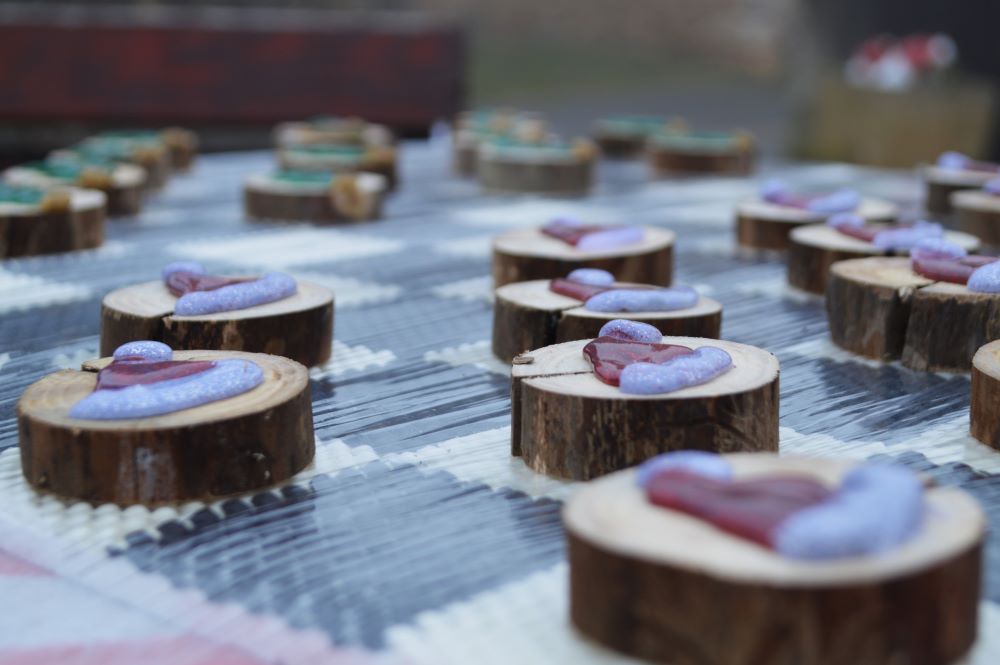 jeu de dames en rondelles de branches d'arbres