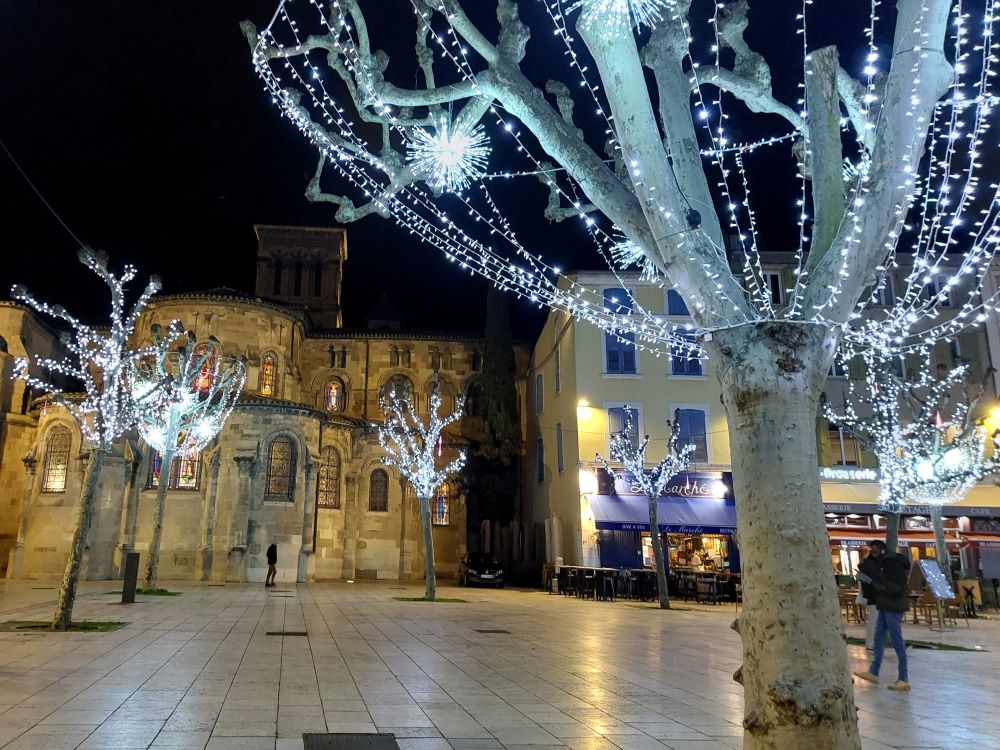 illuminations de Noël sur une place bordée d'arbres