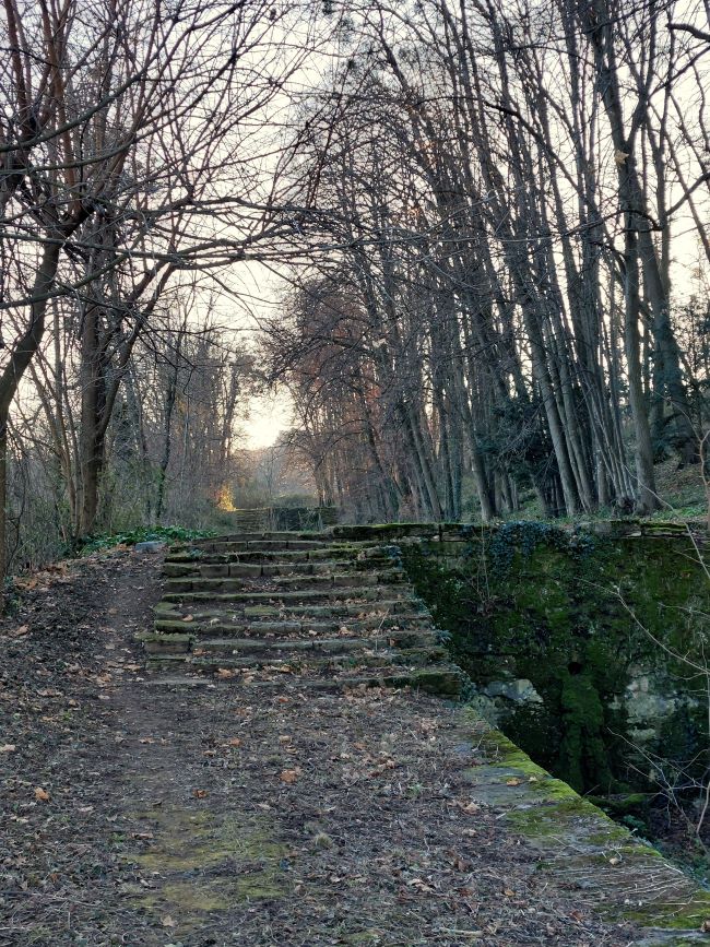 un escalier en pierre dans la forêt