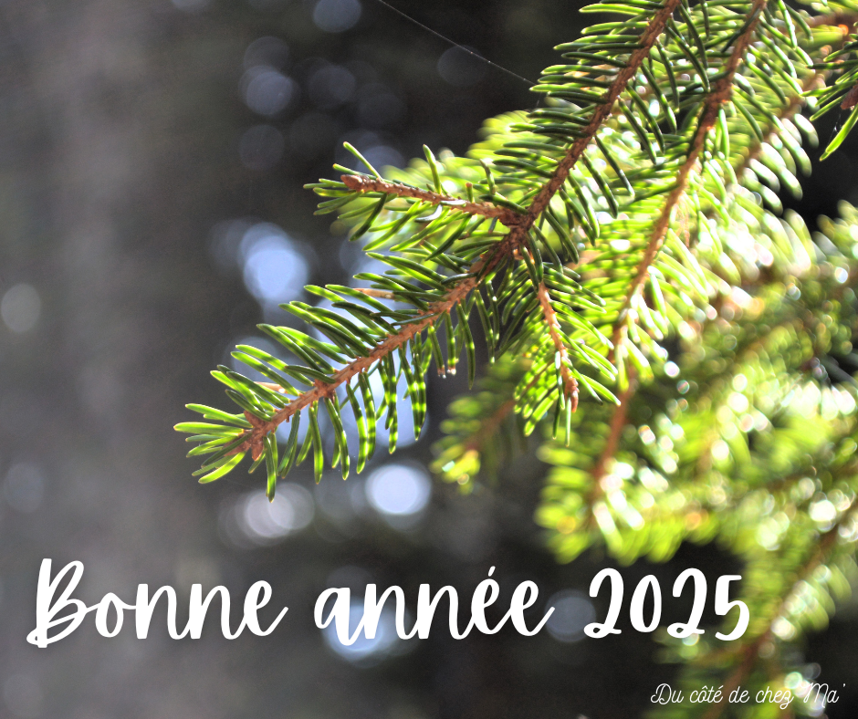 une photo de branche de sapin au soleil avec un texte disant bonne année 2025