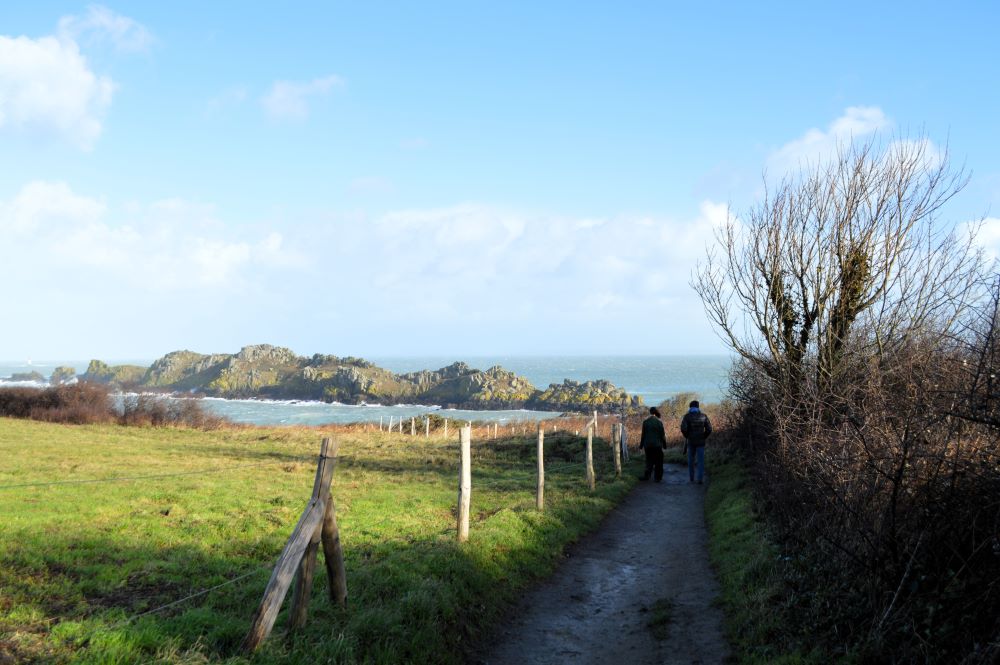 un chemin qui longe un champ avec la mer et une île rocheuse au fond