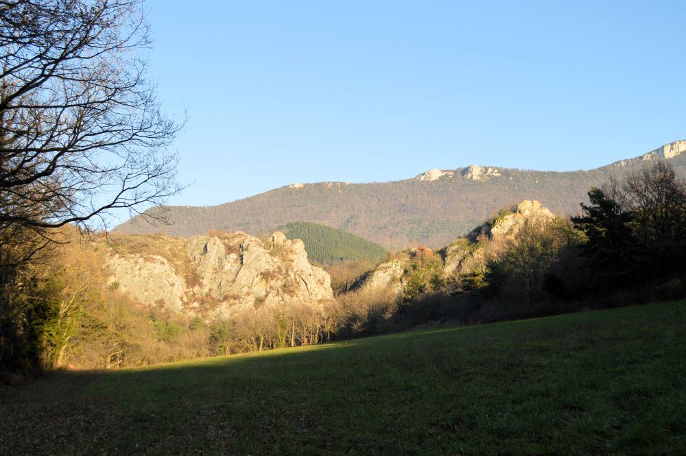 un paysage de basse montagne au soleil