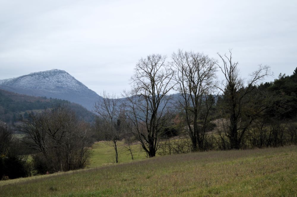 paysage de basse montagne