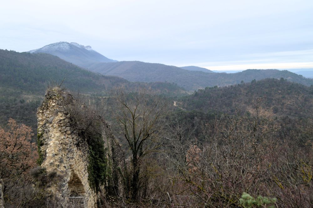 paysage de basse montagne