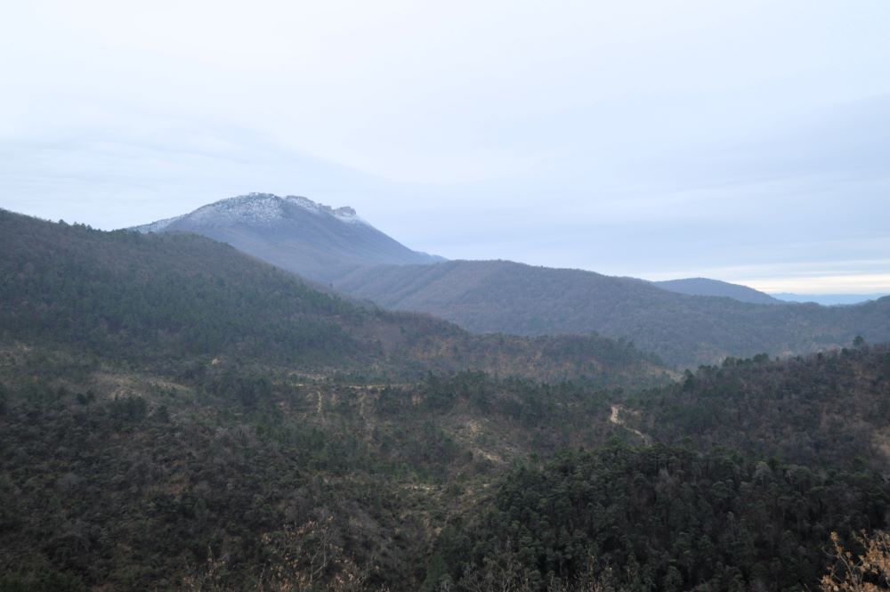 paysage de basse montagne