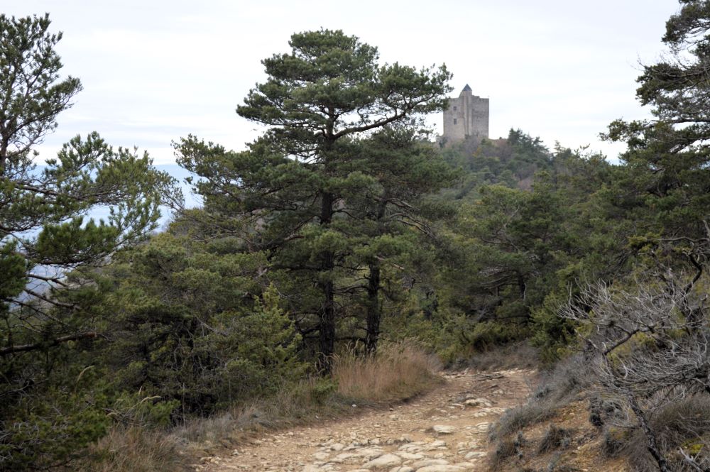 tour médiévale dans la forêt