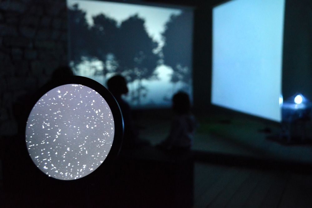 installation artistique contemporaine 