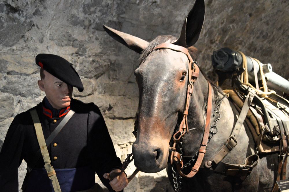 une mise en scène des premières troupes alpines avec un artilleur en uniforme et une mule portant un canon