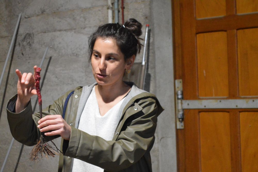 une jeune femme présente un pied de vigne prêt à planter