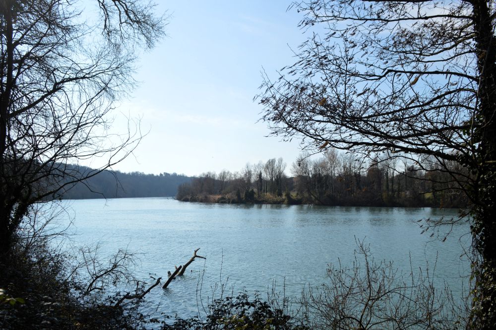 un bord de rivière entouré d'arbres