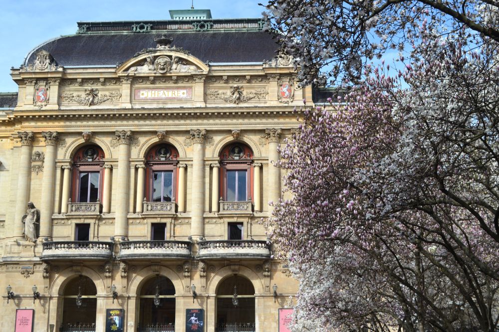 la façade du théâtre des Célestins à Lyon bordée d'une rangée de magnolias en fleurs