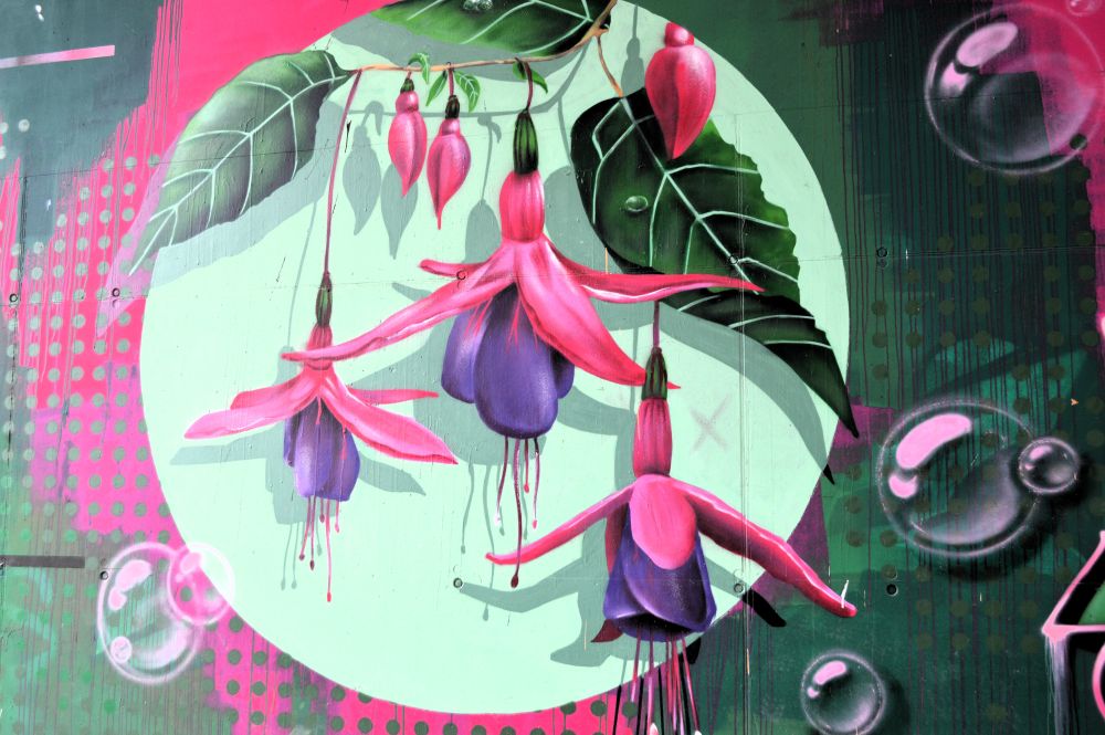 street art sous le pont des Lônes en Ardèche par le collectif Sorry Graffiti