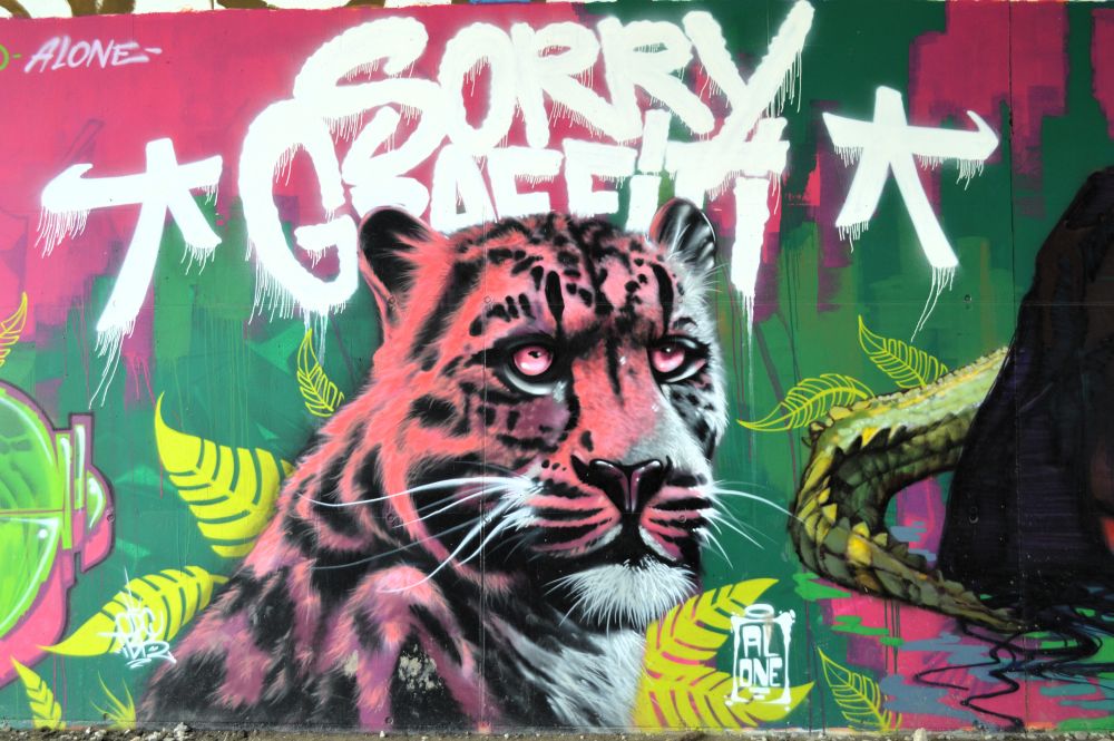 street art sous le pont des Lônes en Ardèche par le collectif Sorry Graffiti