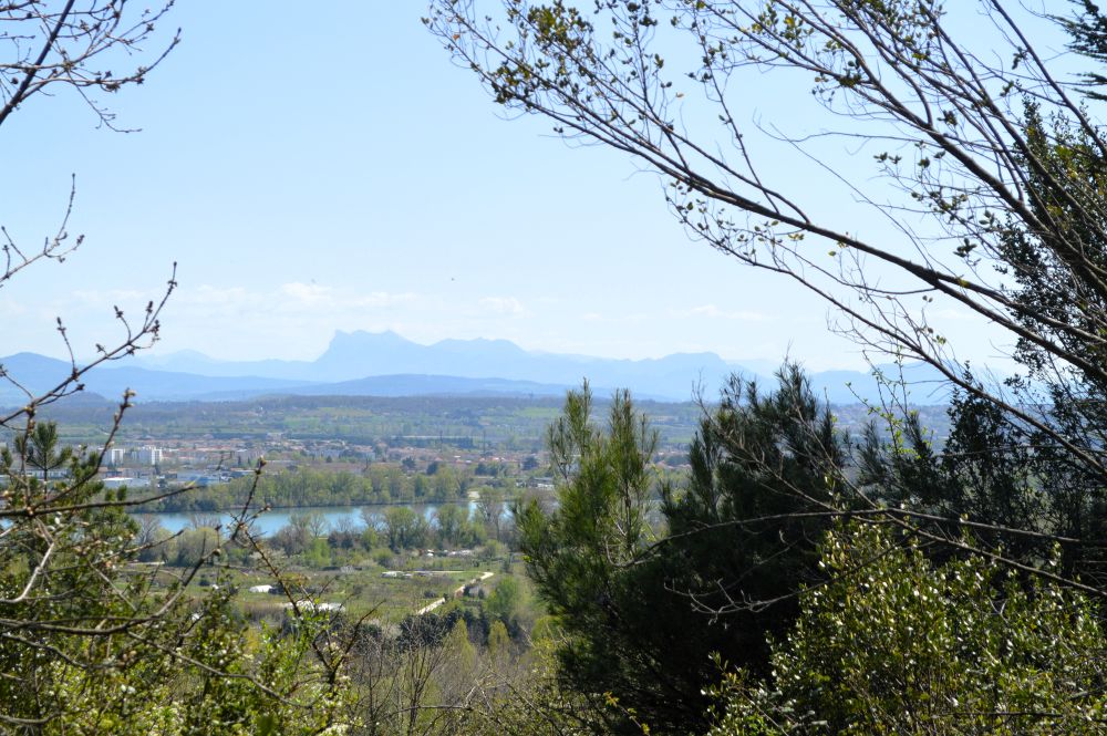 à travers une fenêtre dans la végétation, on voit la vallée du Rhône et le massif montagneux de la forêt de Saoû