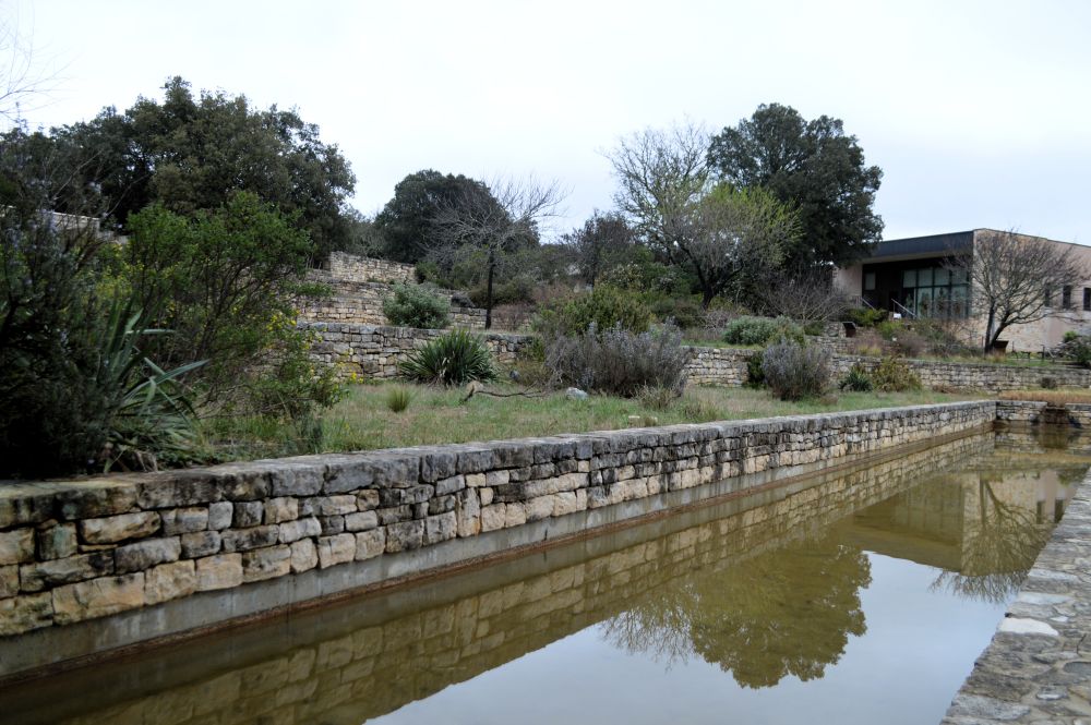 un bassin dans un jardin en terrasse