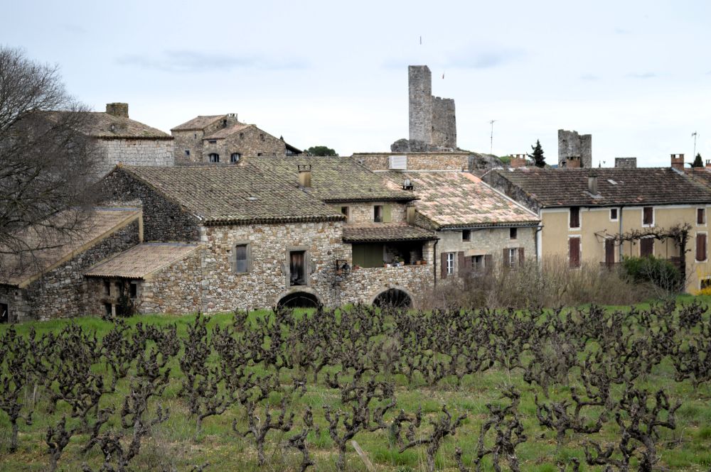 paysage de vignes avec un village ancien au fond