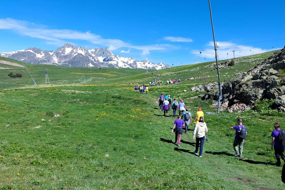 un groupe de personnes marche sur un sentier dans un alpage fleuri avec vue sur une montagne enneigée