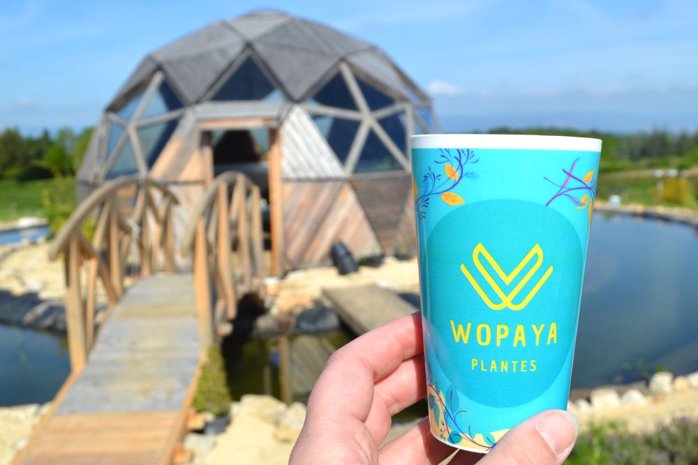 au premier plan un gobelet avec le logo de la ferme Wopaya, au second plan, une serre en forme de dôme géodésique au centre d'une mare