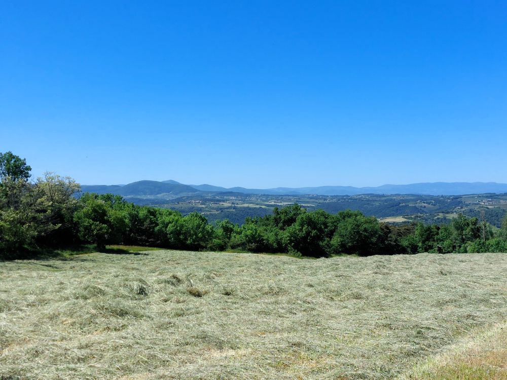 au premier plan un champ dans lequel le foin vient d'être coupé et sèche, en arrière plan des silhouettes de montagnes