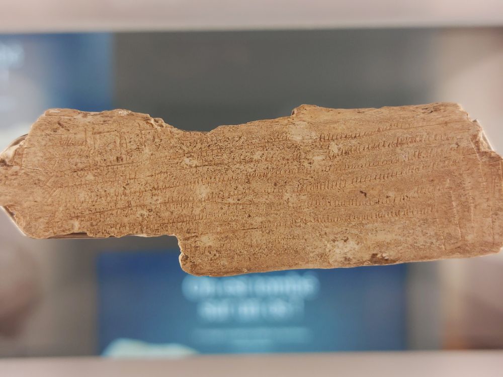 l'os coché du musée de Valence