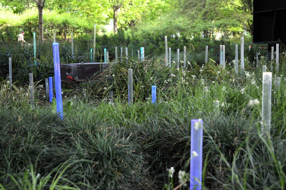 des bâtons lumineux sont plantés au milieu de la végétation sous le bâtiment du musée du Quai Branly
