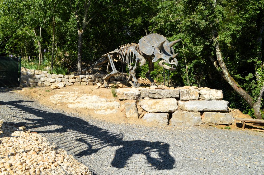 L'ombre d'un squelette de T-rex devant un squelette de tricératops