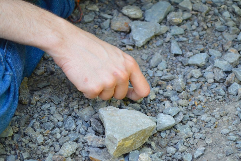 la main d'une personne qui cherche des petits fossiles au milieu de cailloux