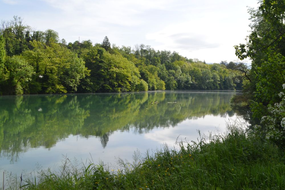 les rives boisées de la rivière s'y reflètent