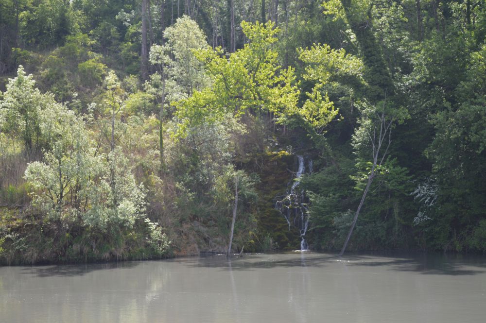 une petite cascade dans la végétation