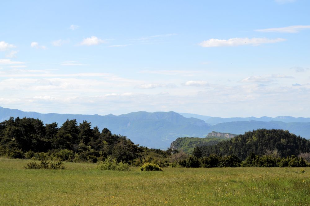 paysage de moyenne montagne avec une prairie au premier plan