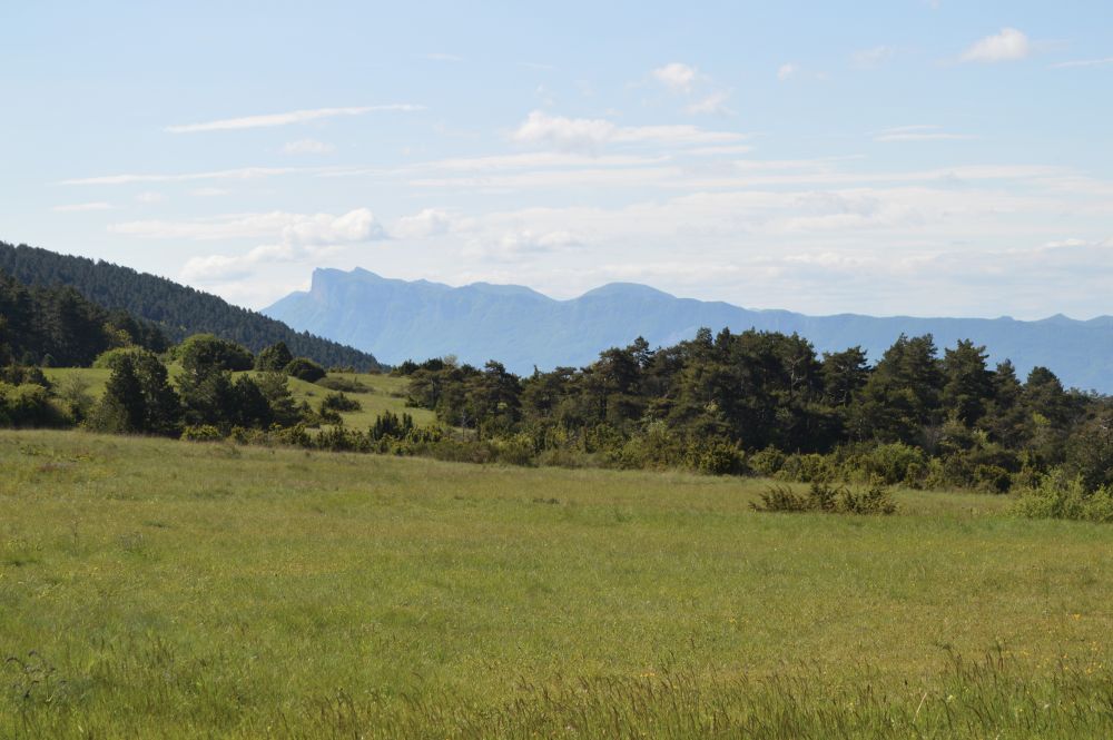 paysage de moyenne montagne avec une prairie au premier plan