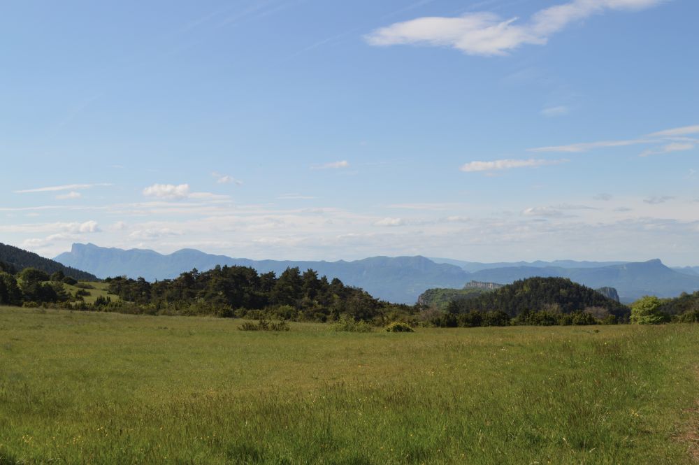 paysage de moyenne montagne avec une prairie au premier plan