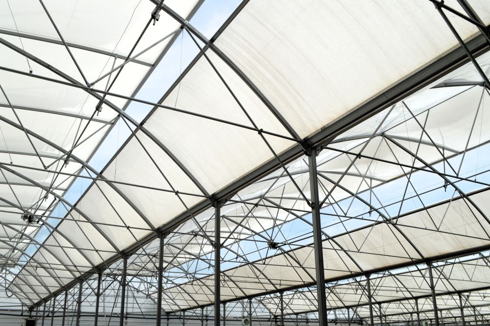 une serre de maraichage