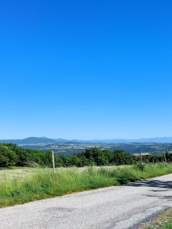depuis le bord d'une route, une vue dégagée sur la campagne environnante
