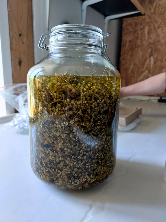 une bonbonne de macérat à l'immortelle