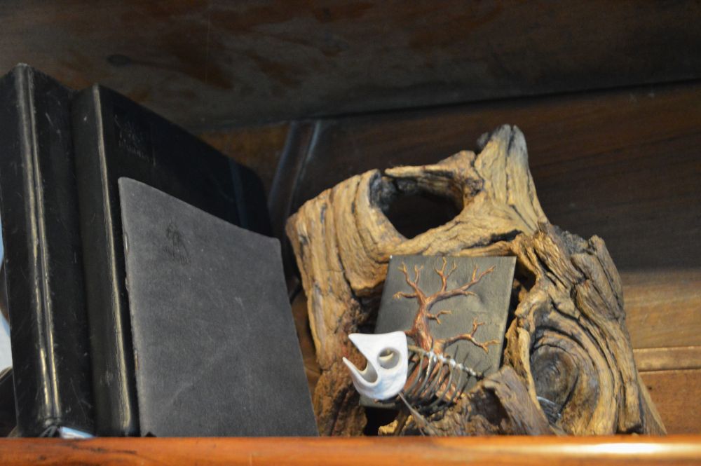 nature morte sur une étagère entre livres, bois flotté et carcasse de poisson en métal