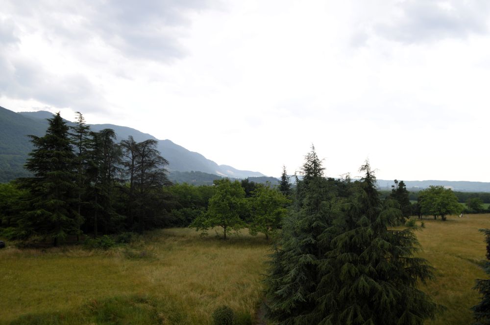 un parc avec de grands arbres au pied du Vercors