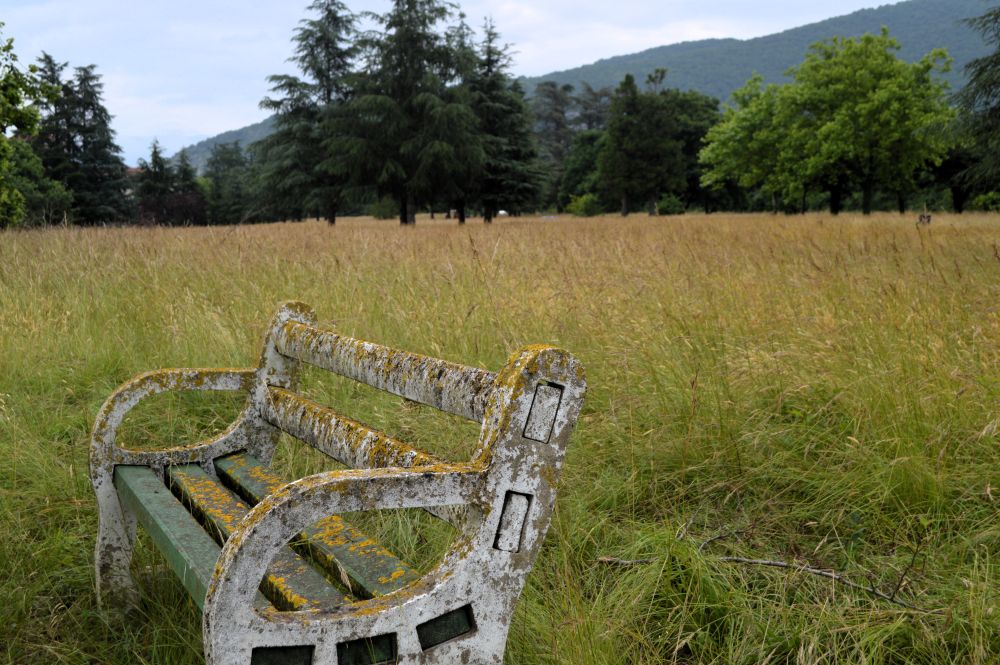 un banc en ciment couvert de mousse, au bord d'une prairie
