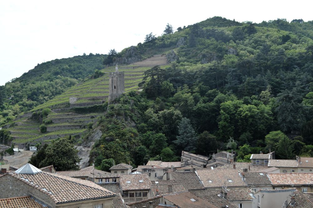 des vignes en terrasse au dessus de toits en tuiles