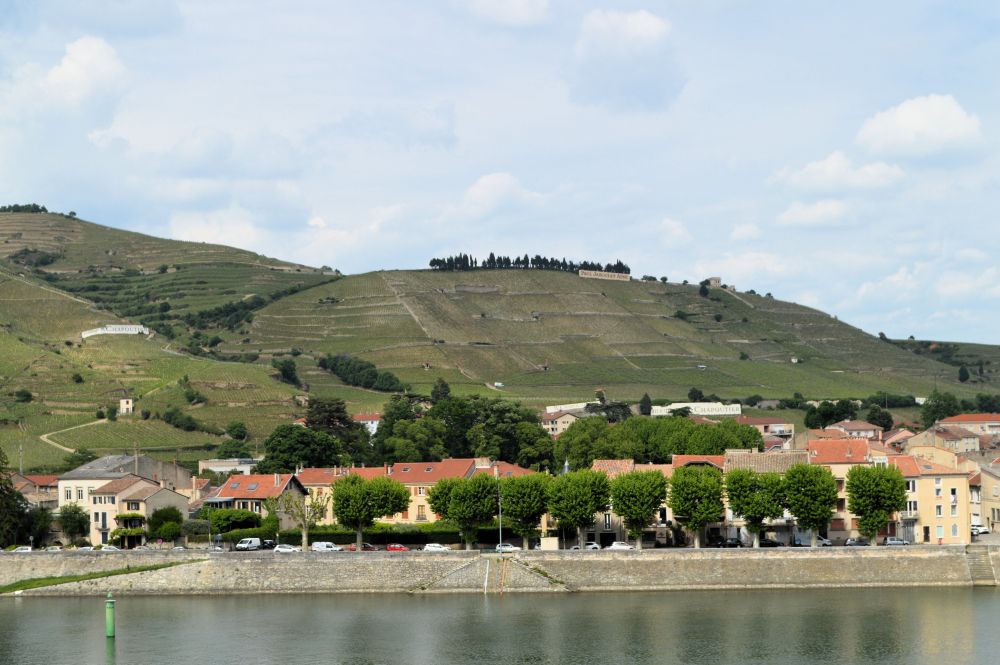 la colline de l'Hermitage à Tain, couverte de vignes