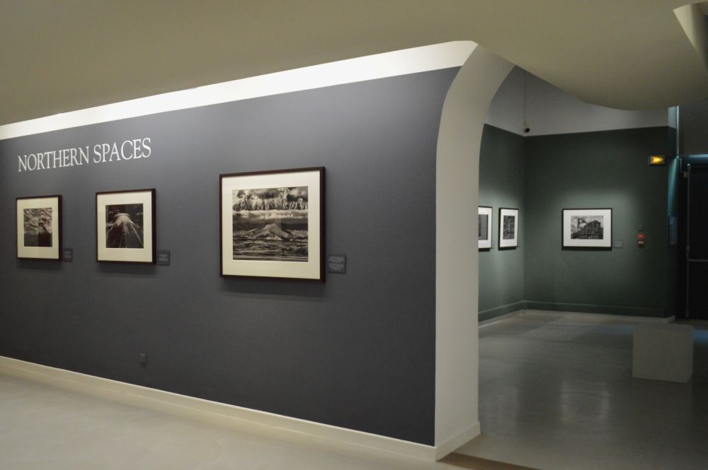 exposition Genesis de Sebastião Salgado au musée d'art contemporain de Montélimar