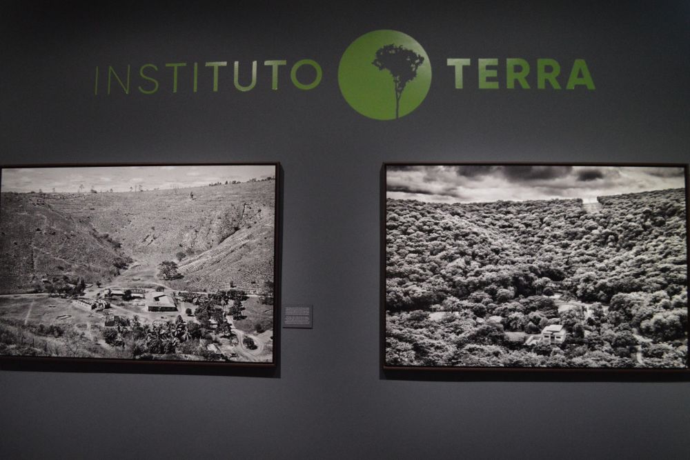 2 photos à 20 ans d'intervalle du domaine de l'instituto terra au Brésil pour montrer le résultat de la replantation