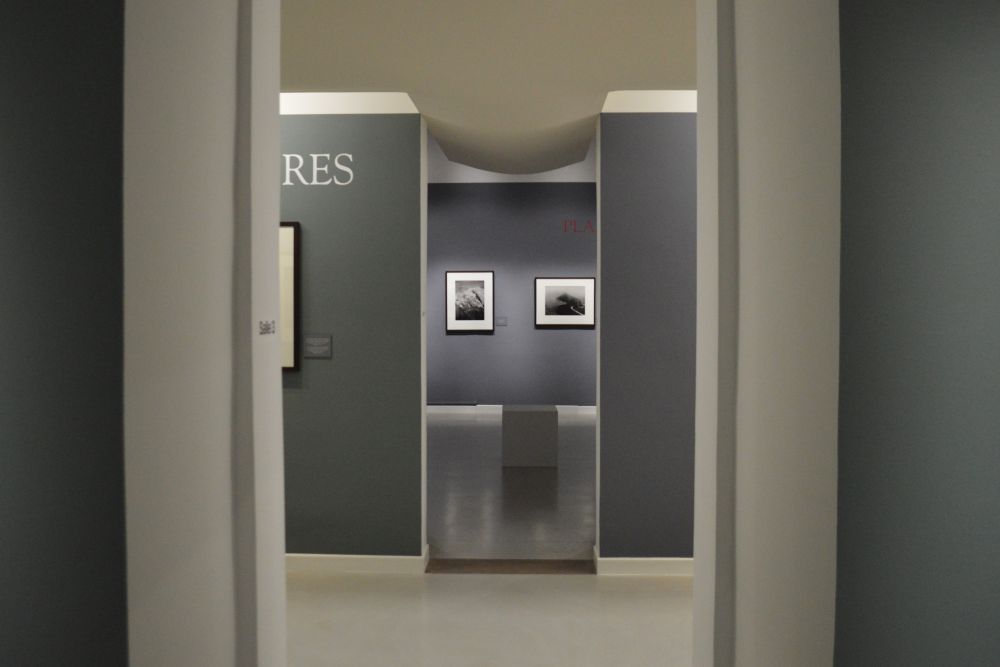 exposition Genesis de Sebastião Salgado au musée d'art contemporain de Montélimar