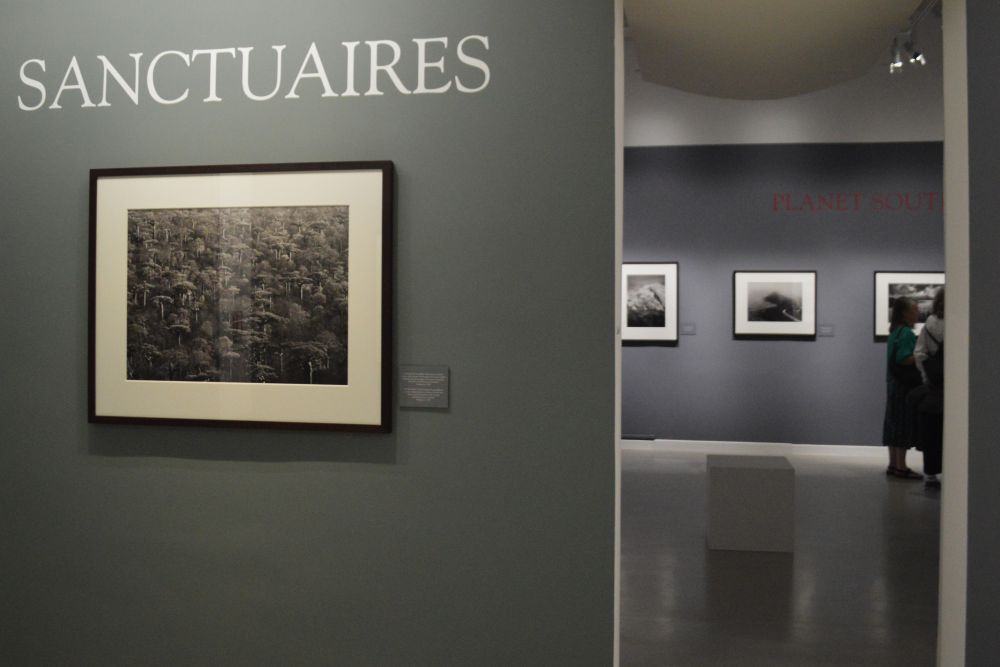 exposition Genesis de Sebastião Salgado au musée d'art contemporain de Montélimar