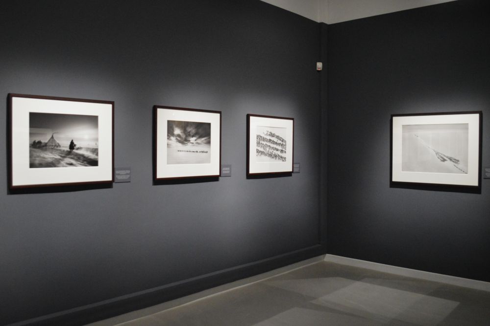 exposition Genesis de Sebastião Salgado au musée d'art contemporain de Montélimar