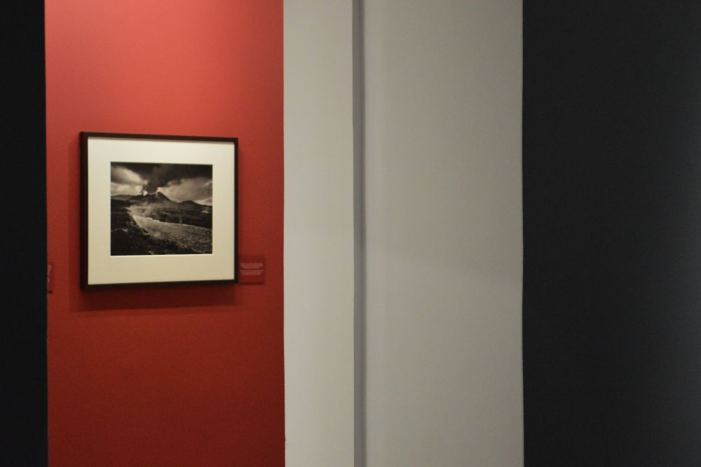exposition Genesis de Sebastião Salgado au musée d'art contemporain de Montélimar