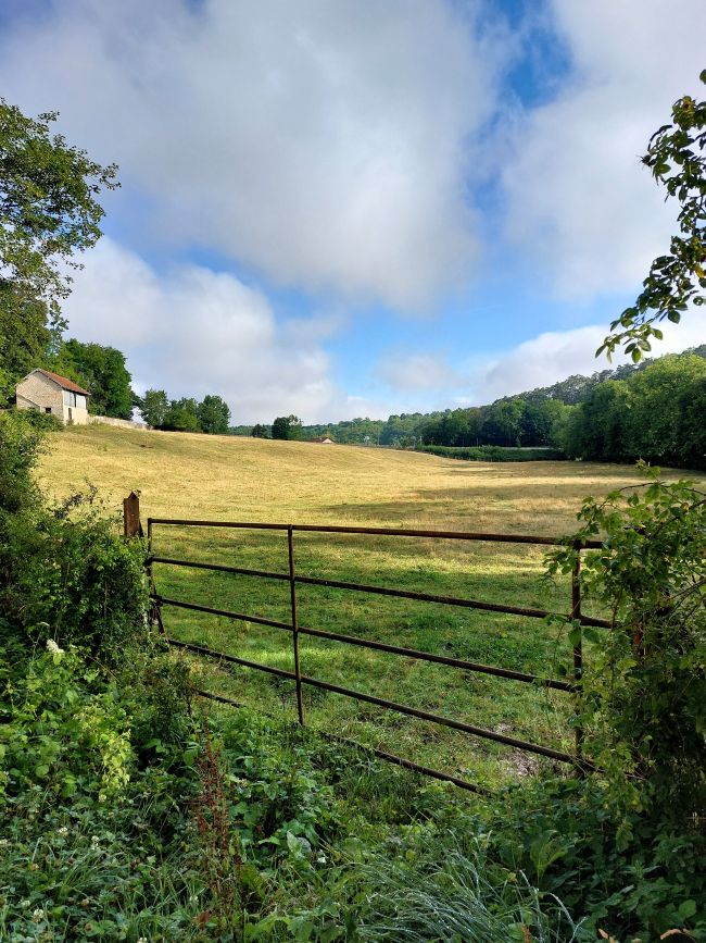un champ fermé par une barrière