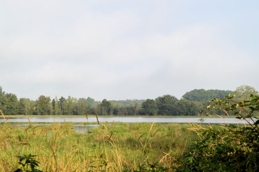 Au bord de l'étang du Plantay