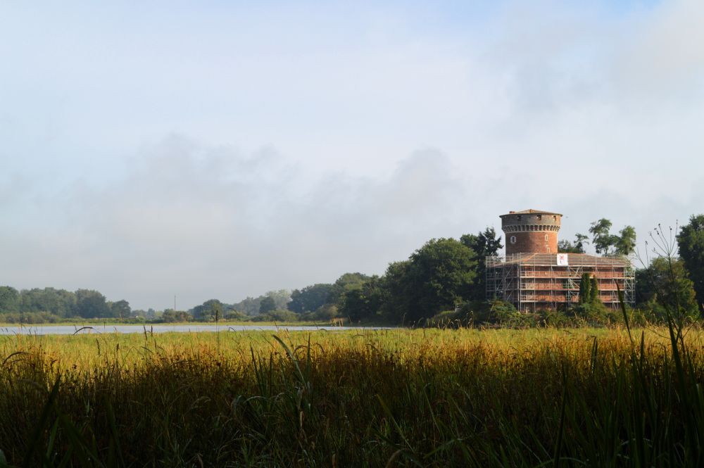 Au bord de l'étang du Plantay