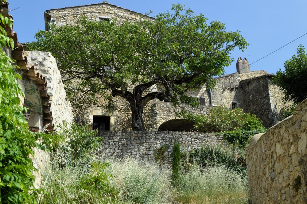 ruelle envahie par les herbes dans un village perché